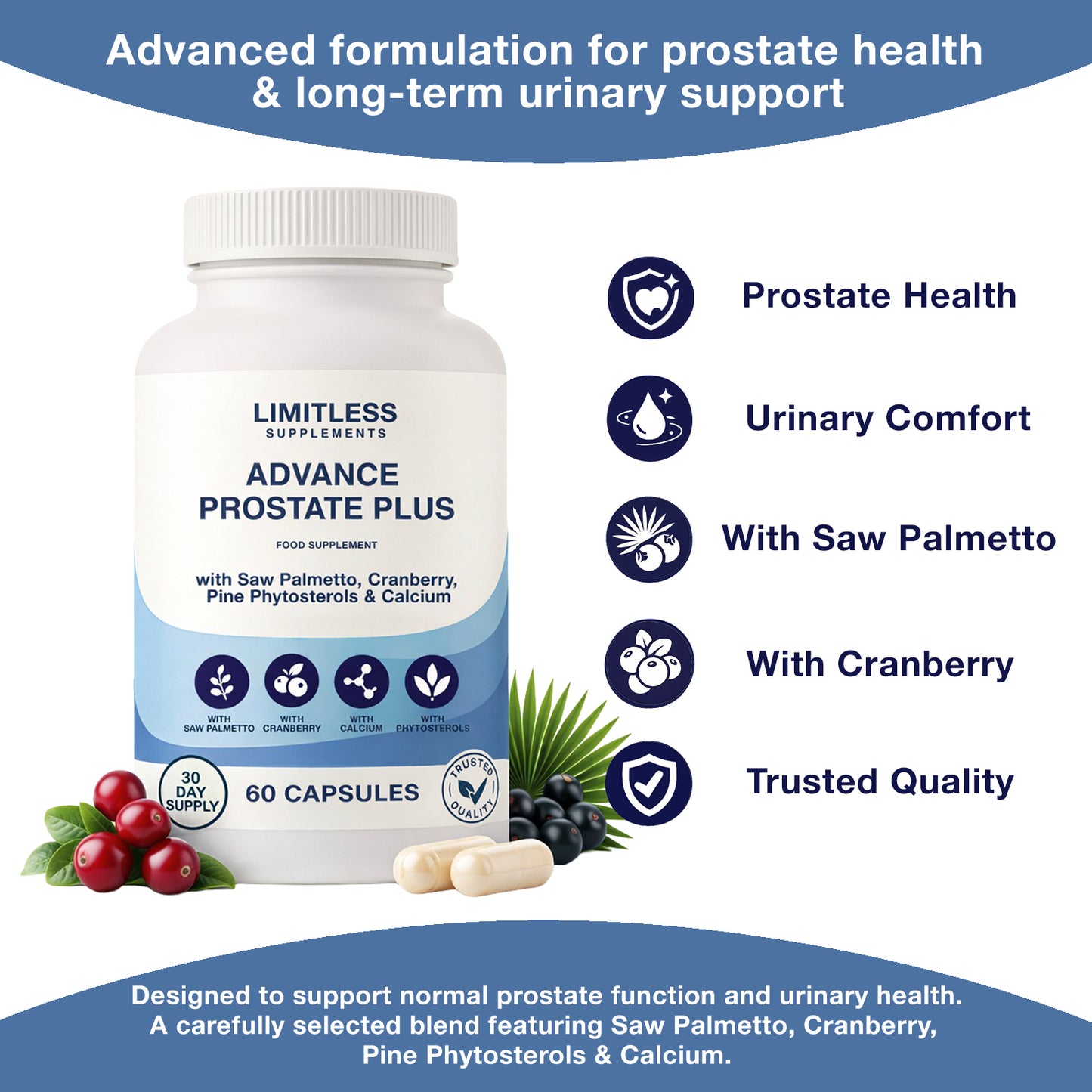 Advance Prostate Plus